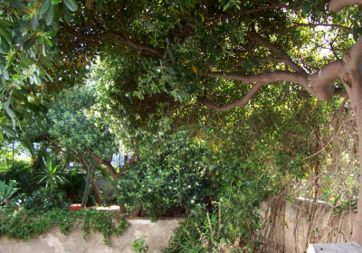 Casa Vacanze Villa Villa La Perla Del Golfo